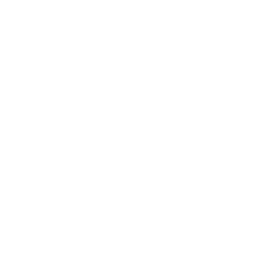 Tidal